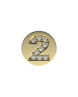 Number 2 Initial Charm – Sterling Silver with Gold, White, or Rose Gold Finish