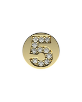 Number 5 Initial Charm – Sterling Silver with Gold, White, or Rose Gold Finish
